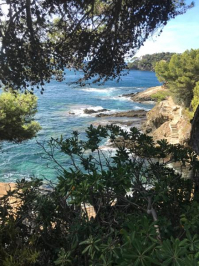 Salines de Giens